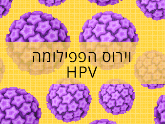 וירוס הפפילומה